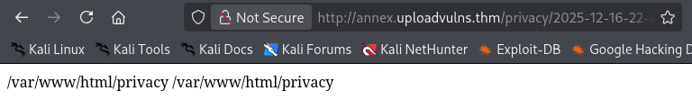 Bypassing Server-Side Filtering - File Extensions