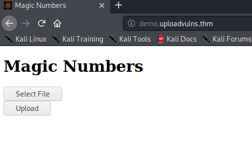 Bypassing Server-Side Filtering - Magic Numbers