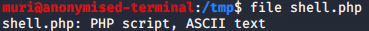 Bypassing Server-Side Filtering - Magic Numbers