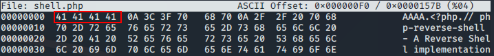 Bypassing Server-Side Filtering - Magic Numbers