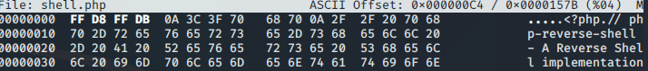 Bypassing Server-Side Filtering - Magic Numbers