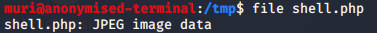 Bypassing Server-Side Filtering - Magic Numbers