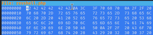 Bypassing Server-Side Filtering - Magic Numbers