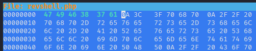 Bypassing Server-Side Filtering - Magic Numbers