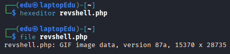 Bypassing Server-Side Filtering - Magic Numbers