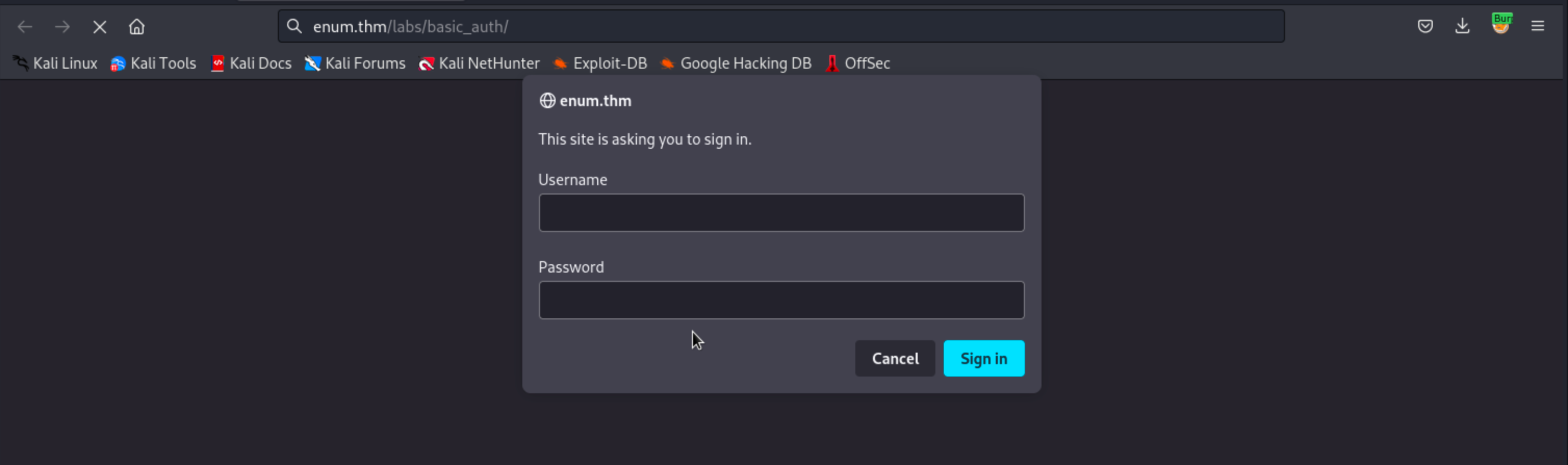 Exploiting HTTP Basic Authentication