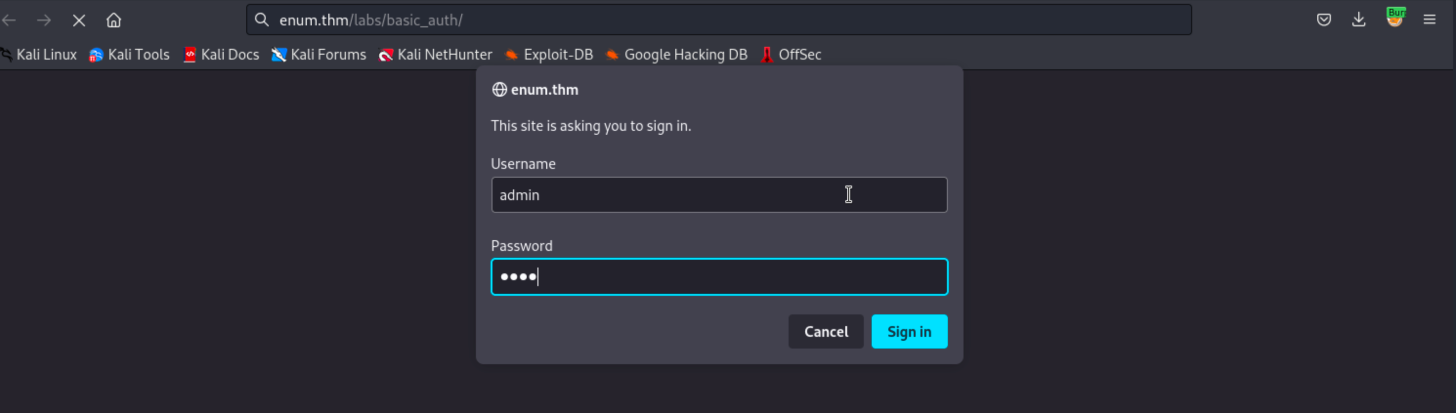 Exploiting HTTP Basic Authentication