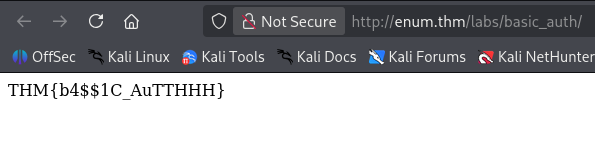 Exploiting HTTP Basic Authentication