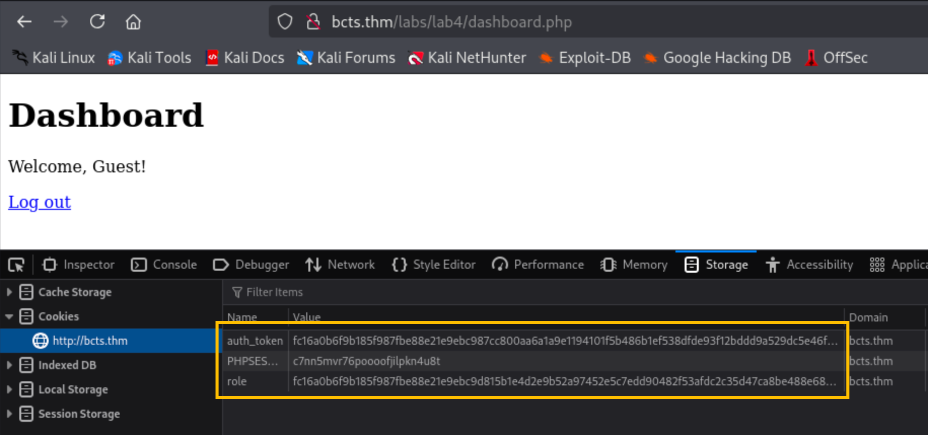 Bit Flipping Attacks
