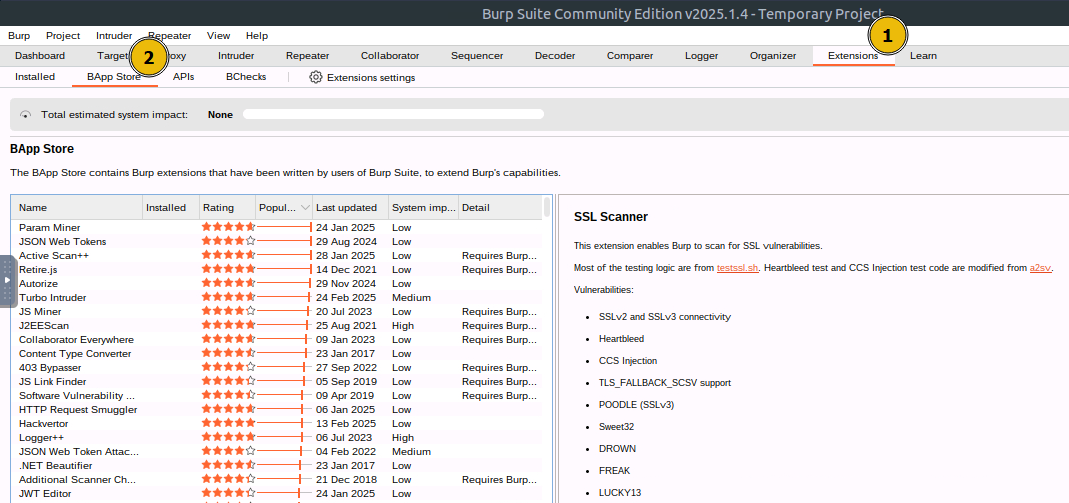 Using Extensions in Burp