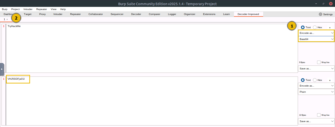 Using Extensions in Burp