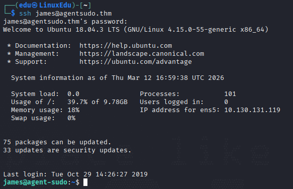 agent-sudo