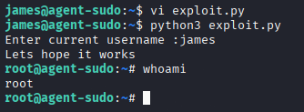 agent-sudo