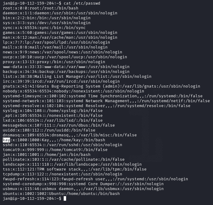 basic-pentesting