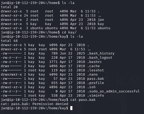 basic-pentesting