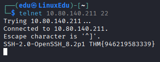 net-sec-challenge