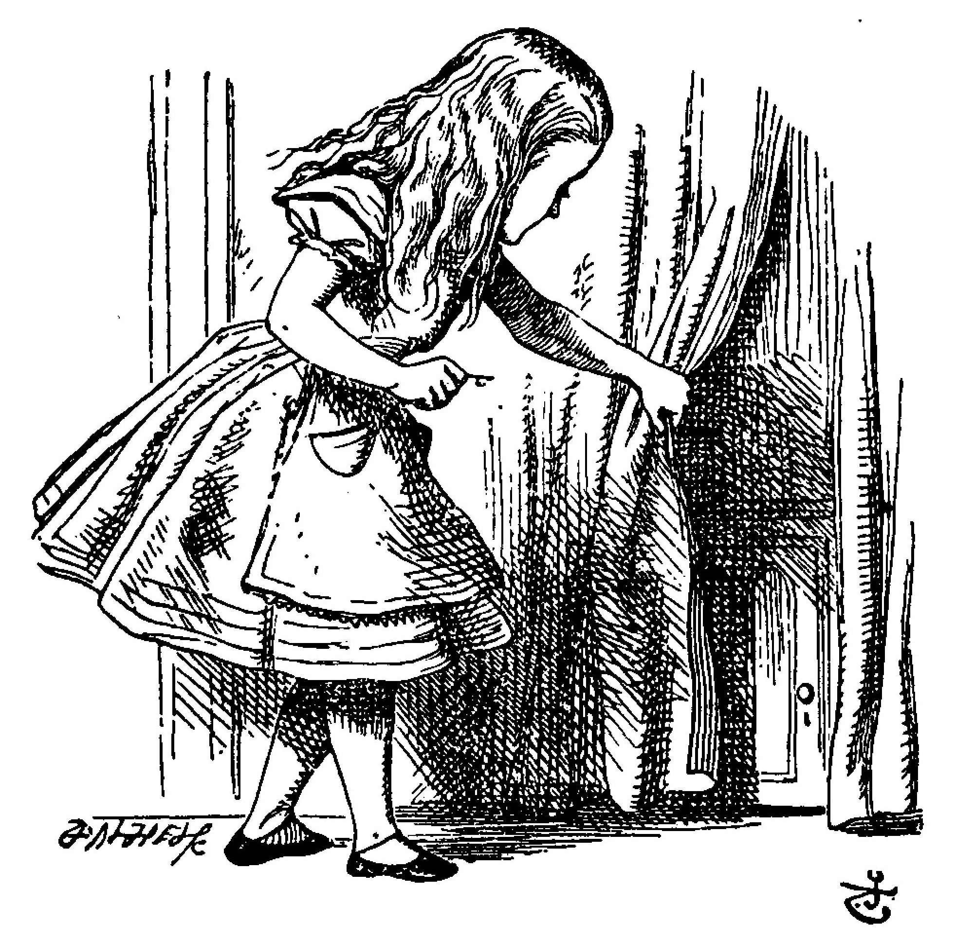 wonderland